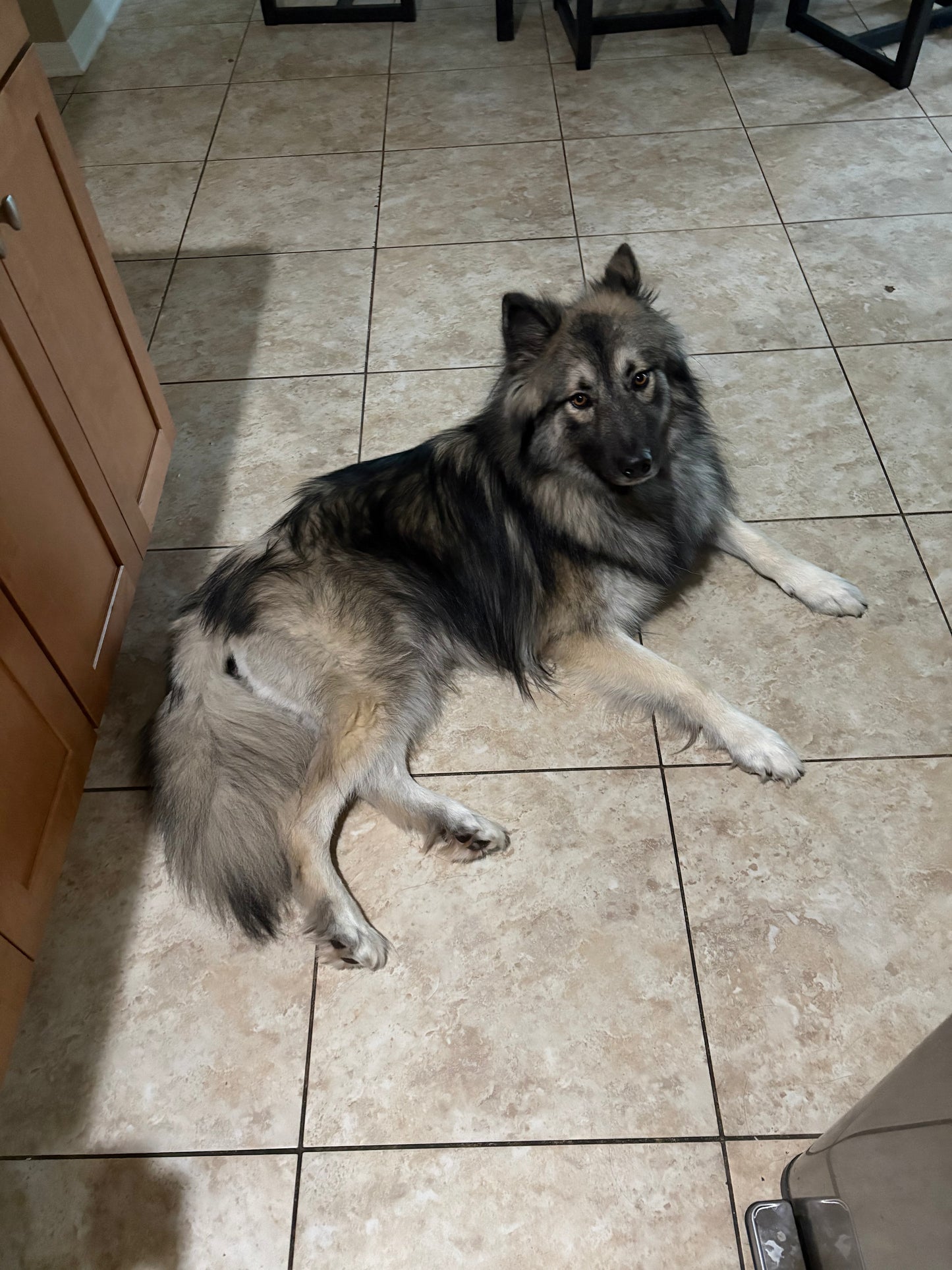 Zeus