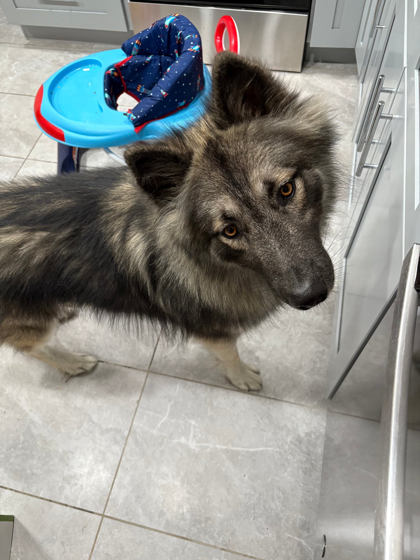 Zeus