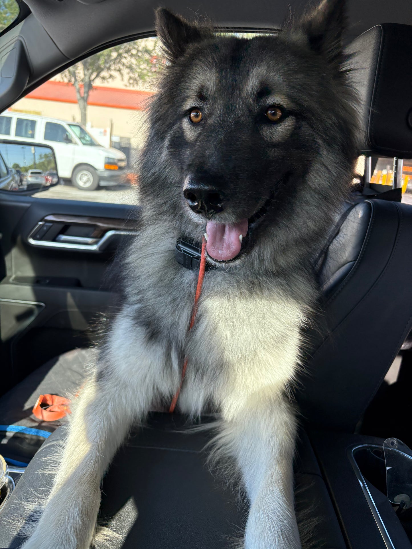 Zeus