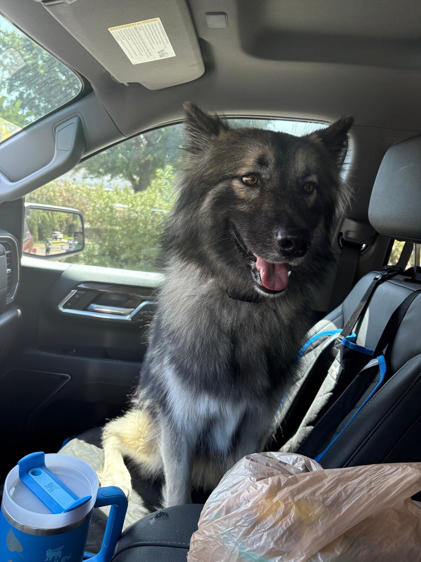 Zeus